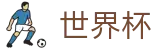 FIFA2026世界杯买球中国区官方指定平台 · 买球防骗提醒与防坑指南